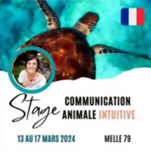 Stage communication animale intuitive