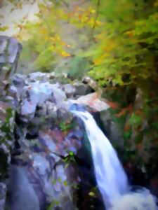 Découverte nature au Massif des Agriers et dans la vallée du Chavanon