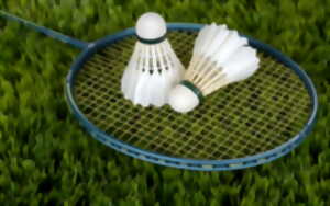 Tournoi de badminton