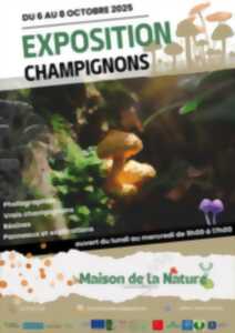 photo Exposition de champignons
