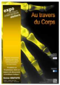 Exposition 