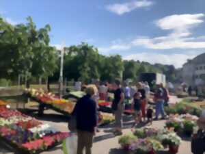 photo Marché aux fleurs et au jardinage