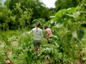 photo Visite du jardin des Lib'elles Lune