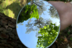 Visite guidée - Balade sensorielle en forêt