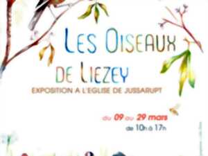 EXPOSITION 'LES OISEAUX DE LIÉZEY'
