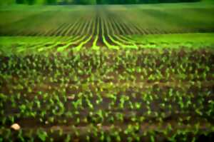Journée de l'agriculture