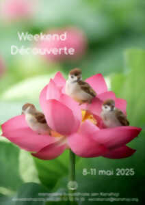 photo weekend découverte du Zen