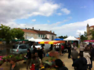 photo Marché de St Geours de Maremne