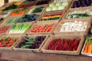 photo Marché hebdomadaire Bessines - Le dimanche