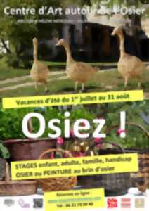 photo Ateliers Osier Créatif - Vacances d'été au Centre d’Art autour de l’Osier à Villaines-les-Rochers  : O S I E Z !