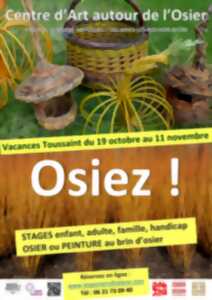 photo Ateliers Osier Créatif - Vacances de la Toussaint au Centre d’Art autour de l’osier à Villaines-les-Rochers  : O S I E Z !