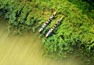 photo Pirogue Hawaïenne exceptionnelle Association la faune landaise