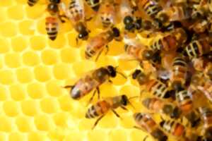 Journée d'initiation à l'apiculture de biodiversité - Ruche Kenyane à Coulon