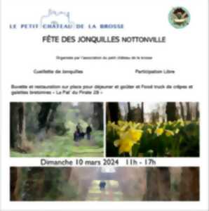 photo Fête des jonquilles