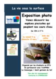 photo EXPO PHOTO À L'OFFICE : 