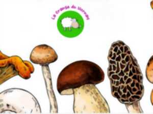 Initiation à la culture des champignons à La Grange du Viornay