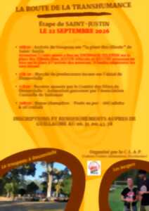 La Route de la Transhumance