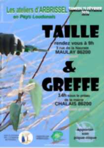 photo Les ateliers d'Arbrissel - Taille & Greffe