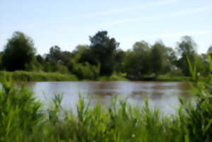 Randonnée Nature et Patrimoine, avec Béatrice