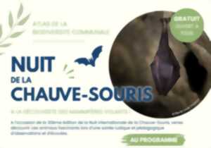 Nuit de la chauve-souris