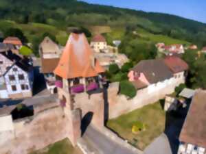 photo Trail des Ecuyers