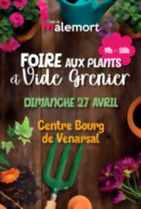 Foire aux plants & vide grenier