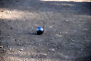 photo PÉTANQUE TROPHÉE DU MAIRE