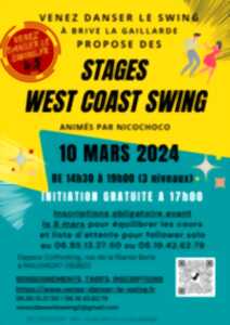 photo Stage de West Coast Swing