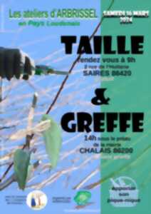 photo Les ateliers d'Arbrissel - Taille & Greffe