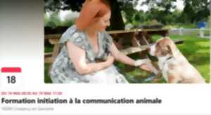photo Initiation à la communication animale