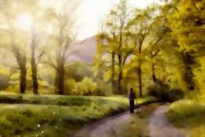 photo Soirée repas de l'ASL Gym