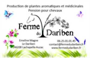 Visite du jardin de Dariben, cueillette, dégustation