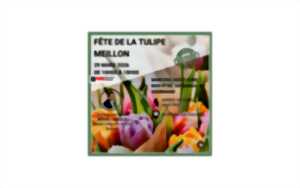 photo Fête de la Tulipe