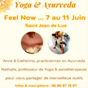 Yoga  Ayurveda : Feel now...