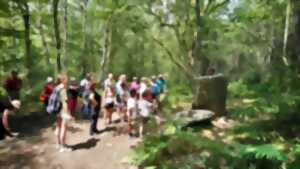 photo Rando à la découverte du GR® de Pays Monts et Barrages – Vassivière