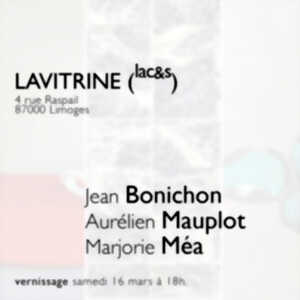 photo LAVITRINE (lac&s) invite trois artistes du CAC23bis, Jean Bonichon, Aurélien Mauplot, Marjorie Méa - Limoges