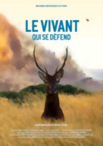 photo Ciné - discussion : Le vivant qui se défend