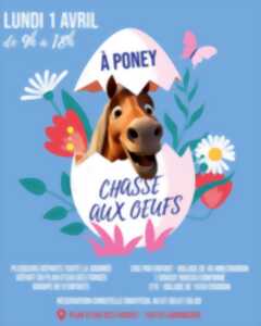 photo Chasse aux œufs à poney