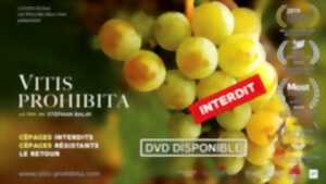 Ciné - discussion : Vitis Prohibita