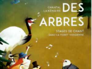 Stage de chant