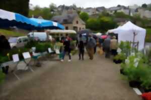 photo Foire aux plants d'Uzerche et marché des producteurs locaux