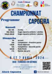 Championnat Capoeira