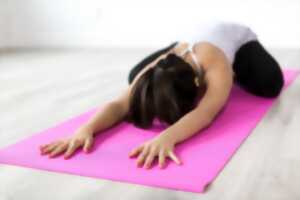 photo Cours de Hatha Yoga /Yin Yoga débutant