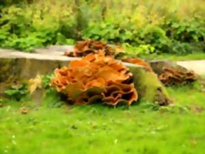 photo Initiation à un inventaire naturaliste