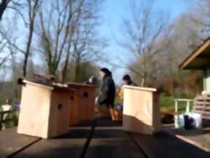 photo Une maison pour les oiseaux - Atelier construction de nichoirs