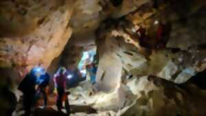 photo Les secrets des grottes de Lacave - Sortie spéléologie