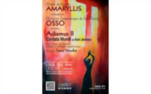 photo Concert Adiemus II - Cantata Mundi