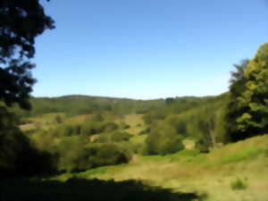 photo Découverte de la tourbière des Dauges