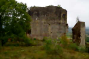 photo Le château de Taillefer, archéologie et paysage