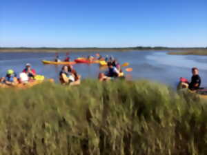 photo Balade sur le delta de la Leyre en canoé collectif